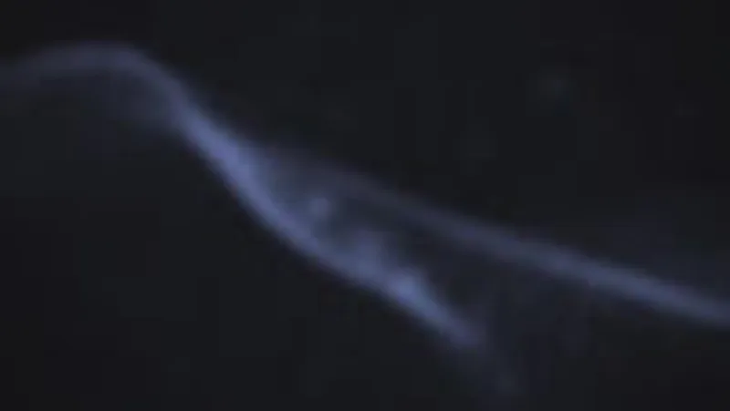 Analoge Röntgenbilder digitalisieren – Flachbettscanner in der Zahnarztpraxis